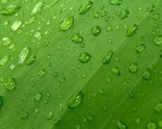 thinkpad 红点存在的意义（联想电脑的小红点究竟是用来干什么的）