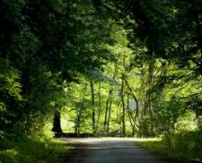 笔记本换了硬盘后进不了系统（电脑换了硬盘进不了系统）